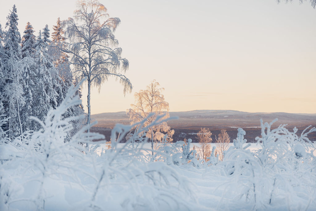 Vinter i Vansbro — december–mars