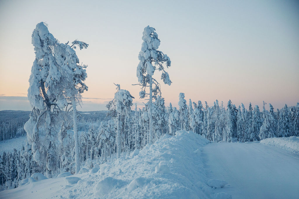 Snötäckt väg i gryningsljus mot Sälen