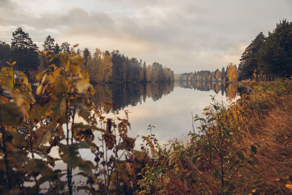Västerdalälven i gryningsljus vid Vansbro